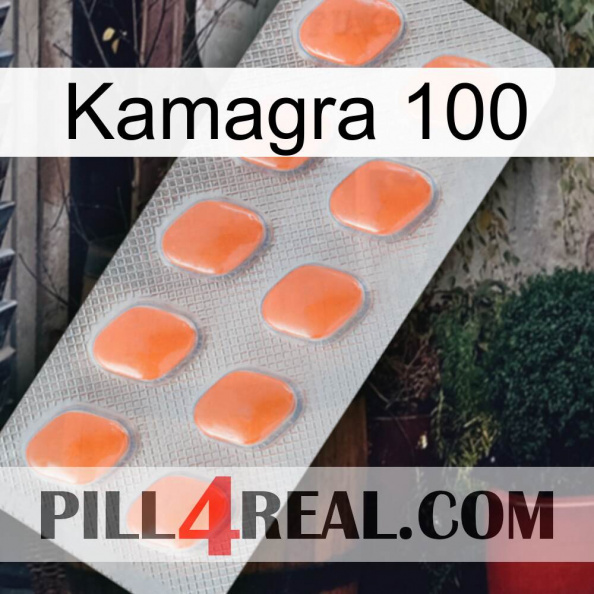 Kamagra 100 26.jpg